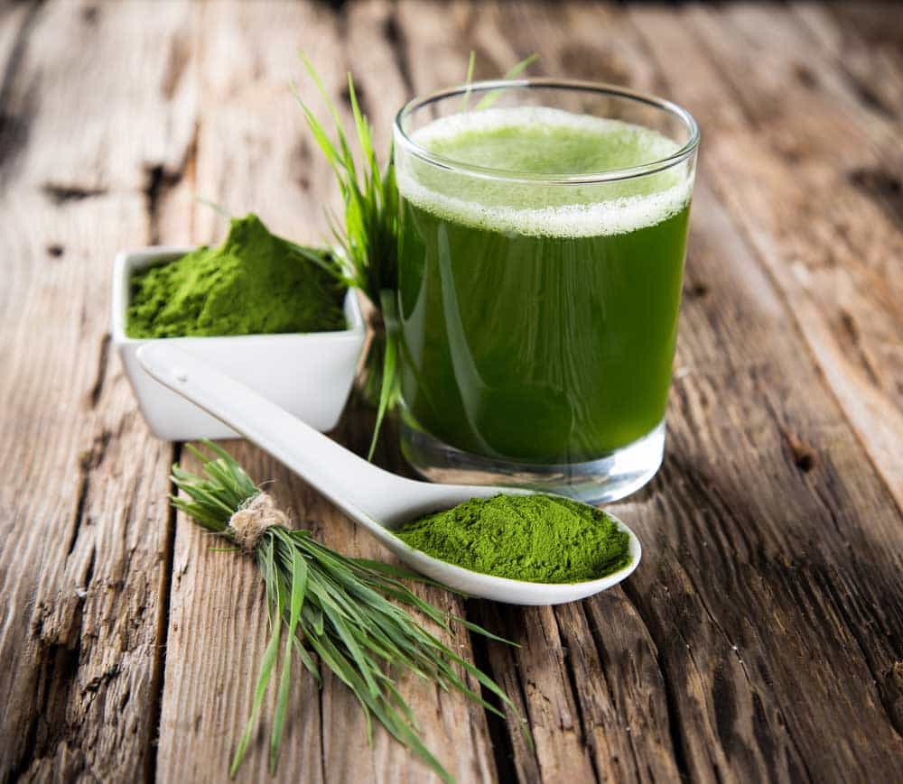 Spiruline et système imunitaire, quels bienfaits ?