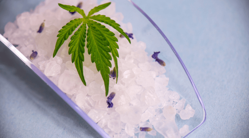 Les SPA au CBD : Nouvelle tendance ?